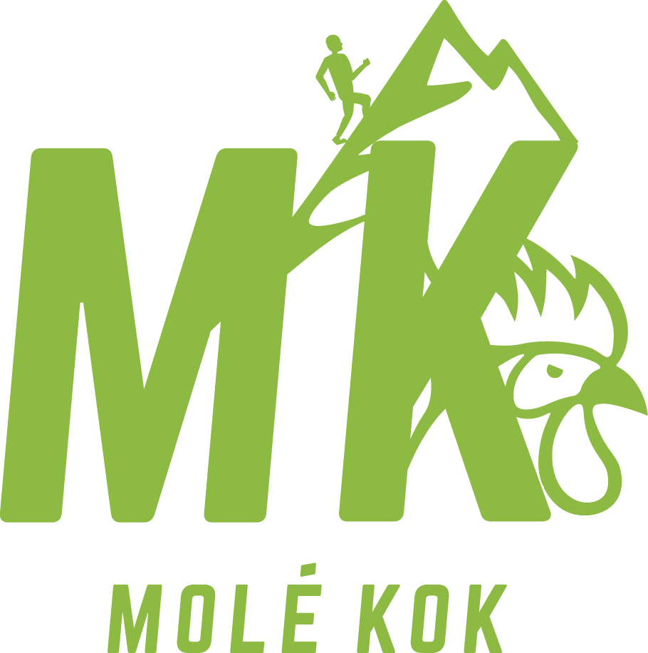 MK ANIS
